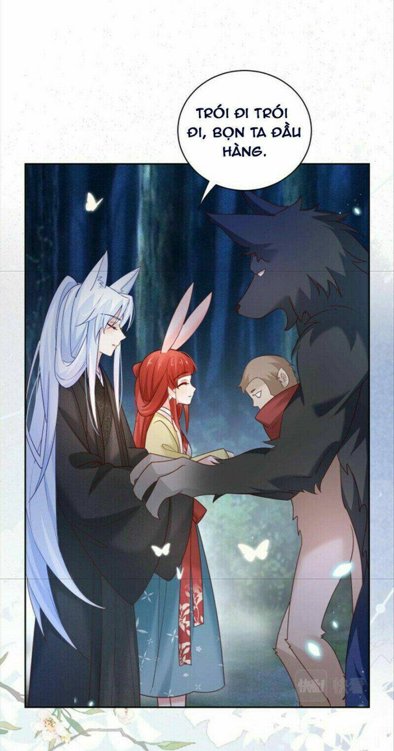 hắc hóa nam chính trực tuyến nuôi thỏ chapter 51 21