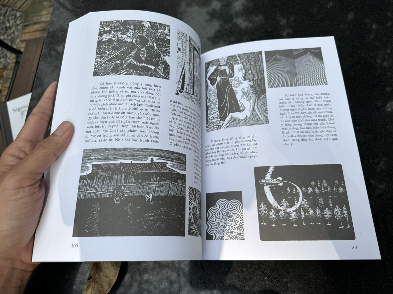 [Ấn bản 2023 – Ảnh minh họa] NGUYÊN LÝ HỘI HỌA ĐEN TRẮNG – Vương Hoằng Lực – Võ Mai Lý dịch – Văn Lang Books