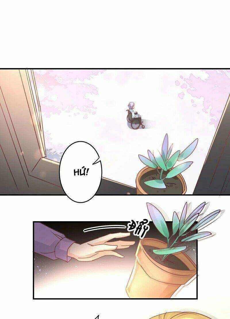 cuồng duệ tiểu thê chapter 83 26