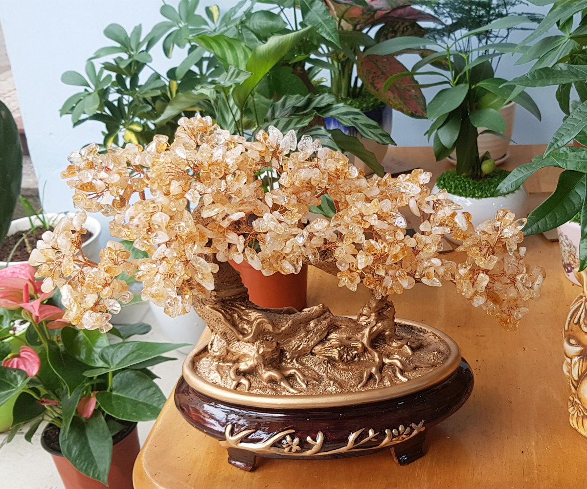 Cây Tài Lộc đá Thạch Anh vàng kiểu dáng bonsai nghiêng chiêu tài tấn lộc