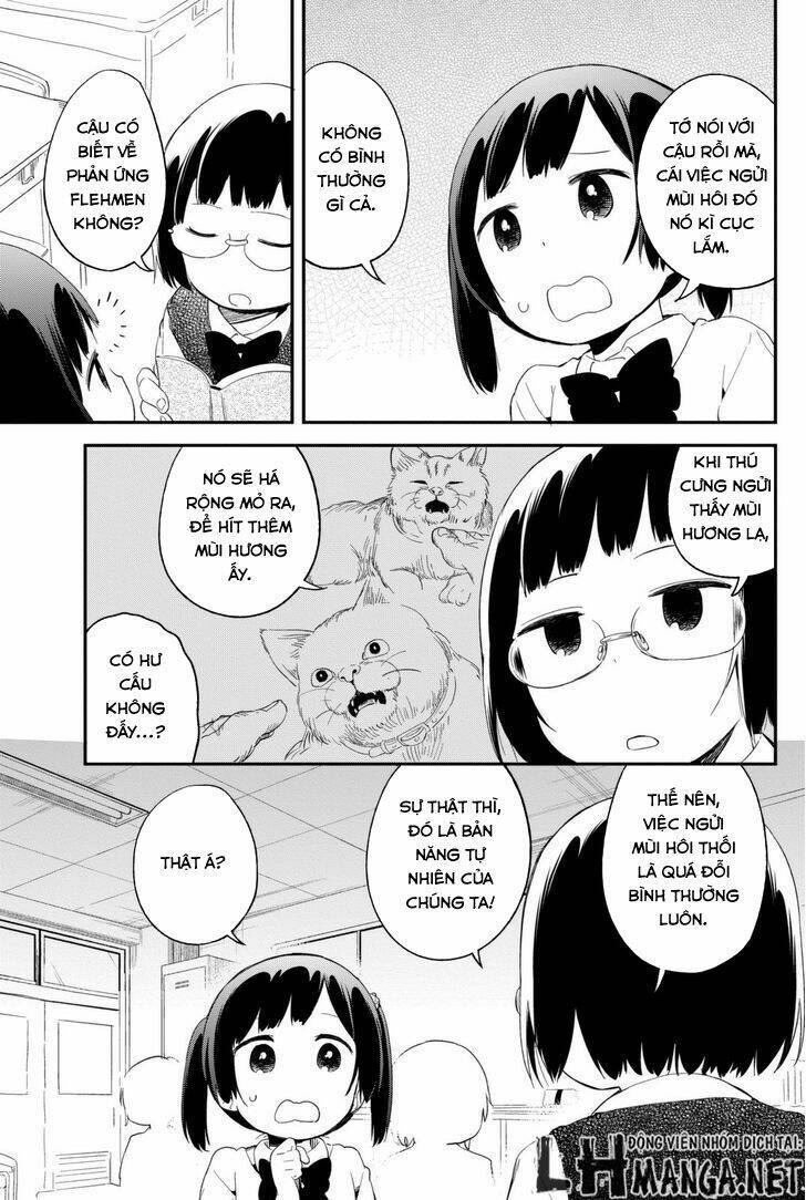 dansan joshi chapter 6 10