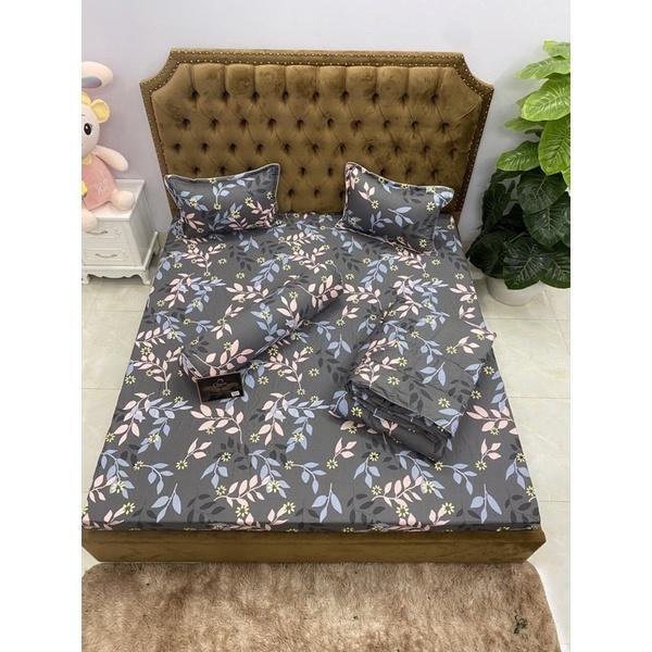 Sét chăn hè 5 món cotton 100%