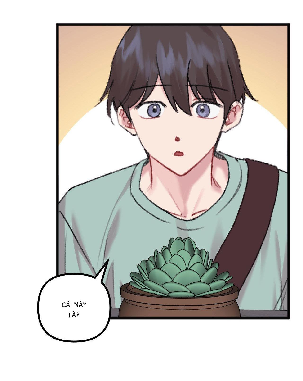 anh thật sự thích em sao chapter 21 3