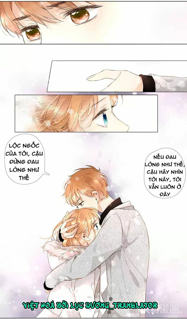 Tình yêu là màu hoa anh thảo chapter 17.2 17