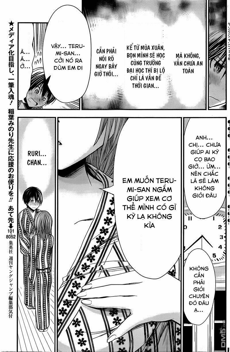 minamoto-kun monogatari chapter 255 3