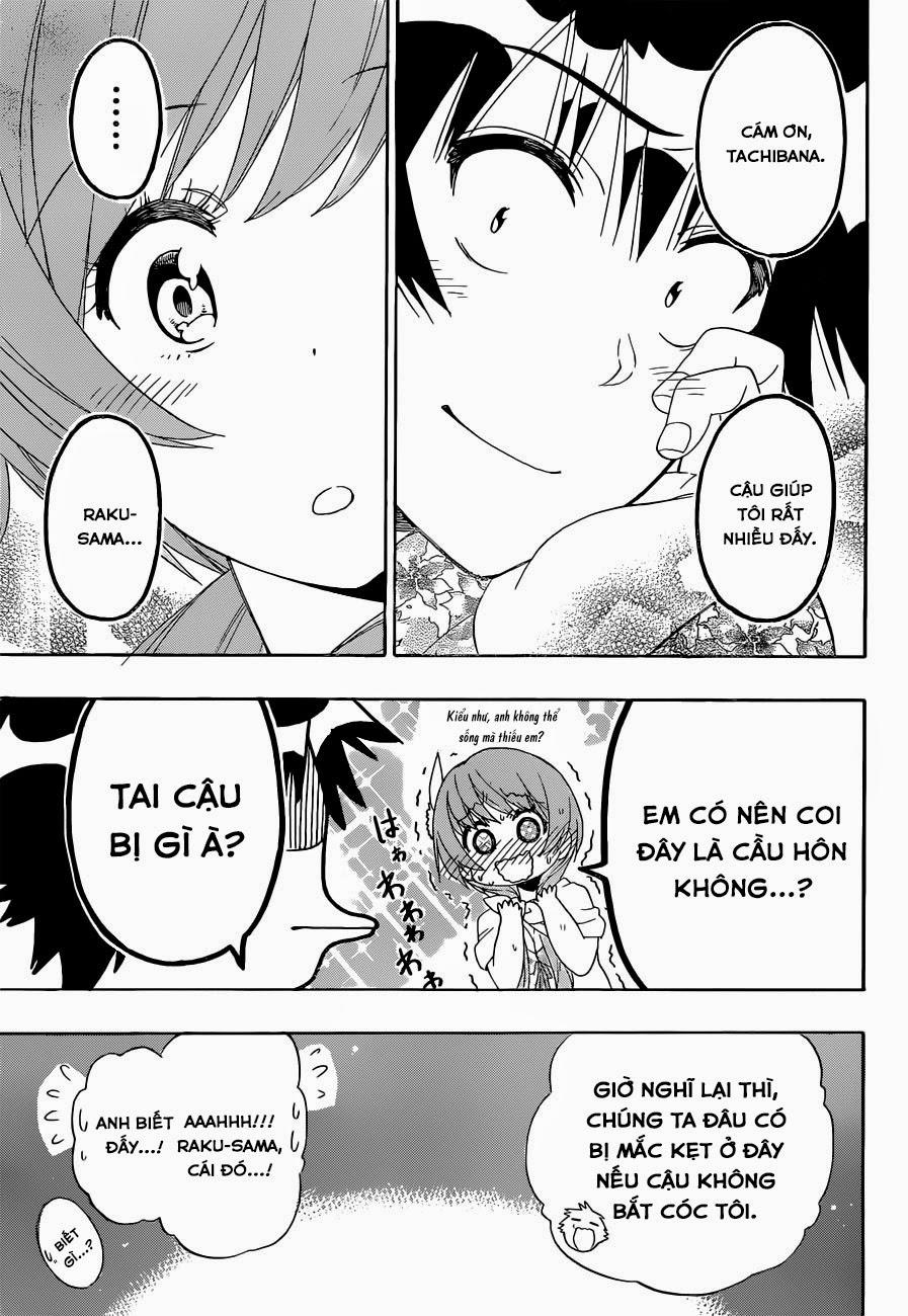 nisekoi - tình yêu giả tạo chapter 170 20