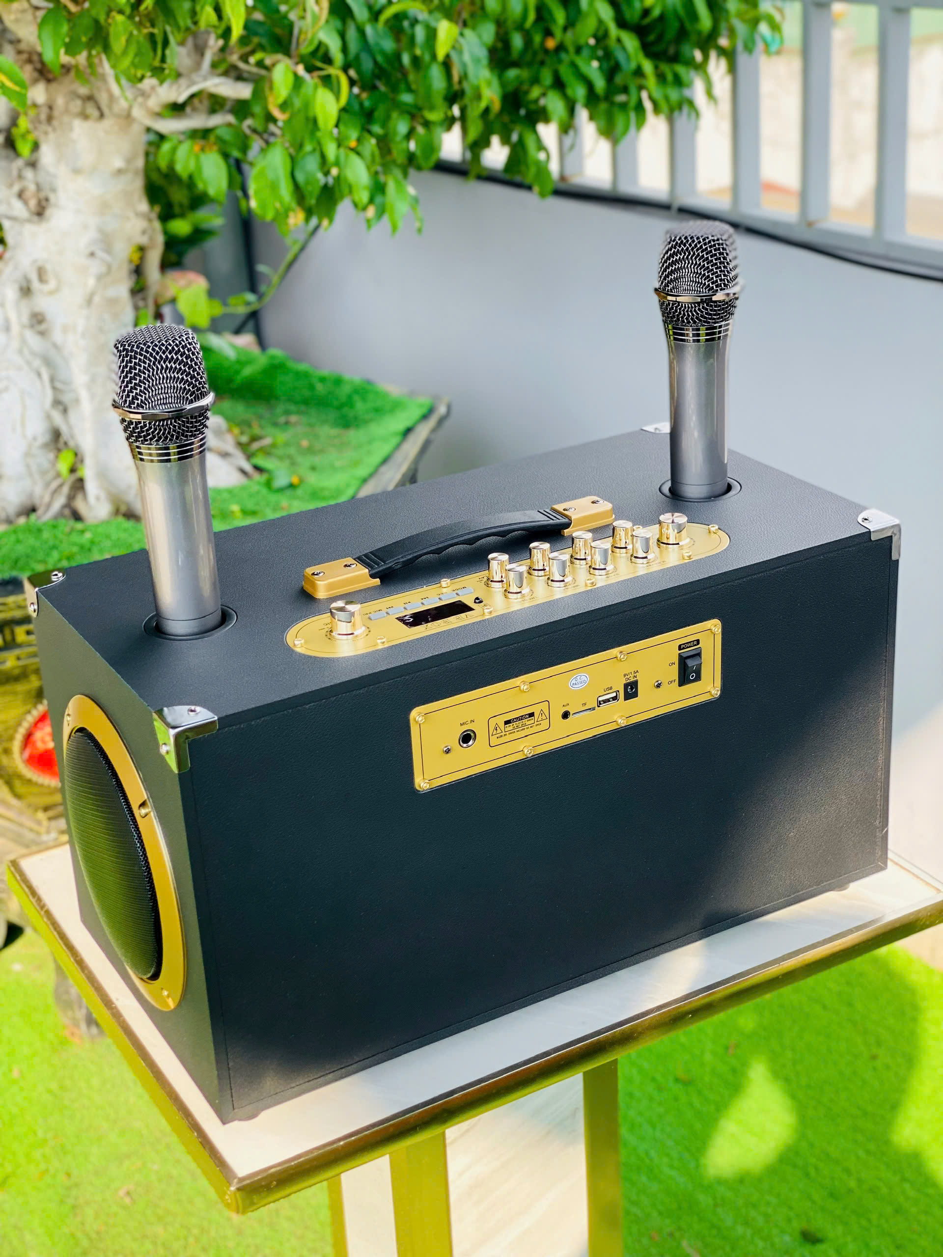 Loa Kéo Xách Tay Nhỏ Gọn Karaoke MT8888 – 400W, 2 Bass 16, Có Mic Không Dây, Giá Rẻ Âm Thanh Hay Mạnh Mẽ hàng nhập khẩu