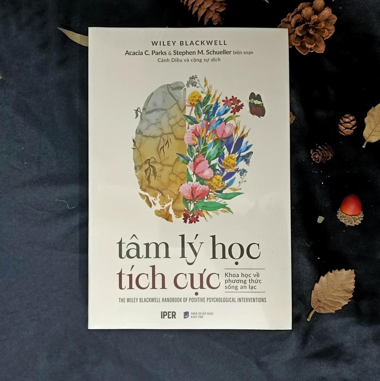 Tâm Lý Học Tích Cực