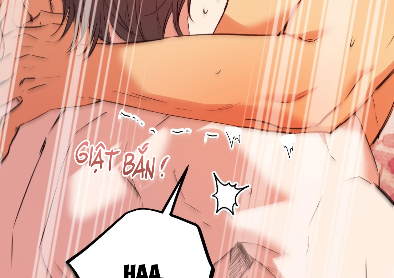 những chú thỏ của hapypy chapter 63 173