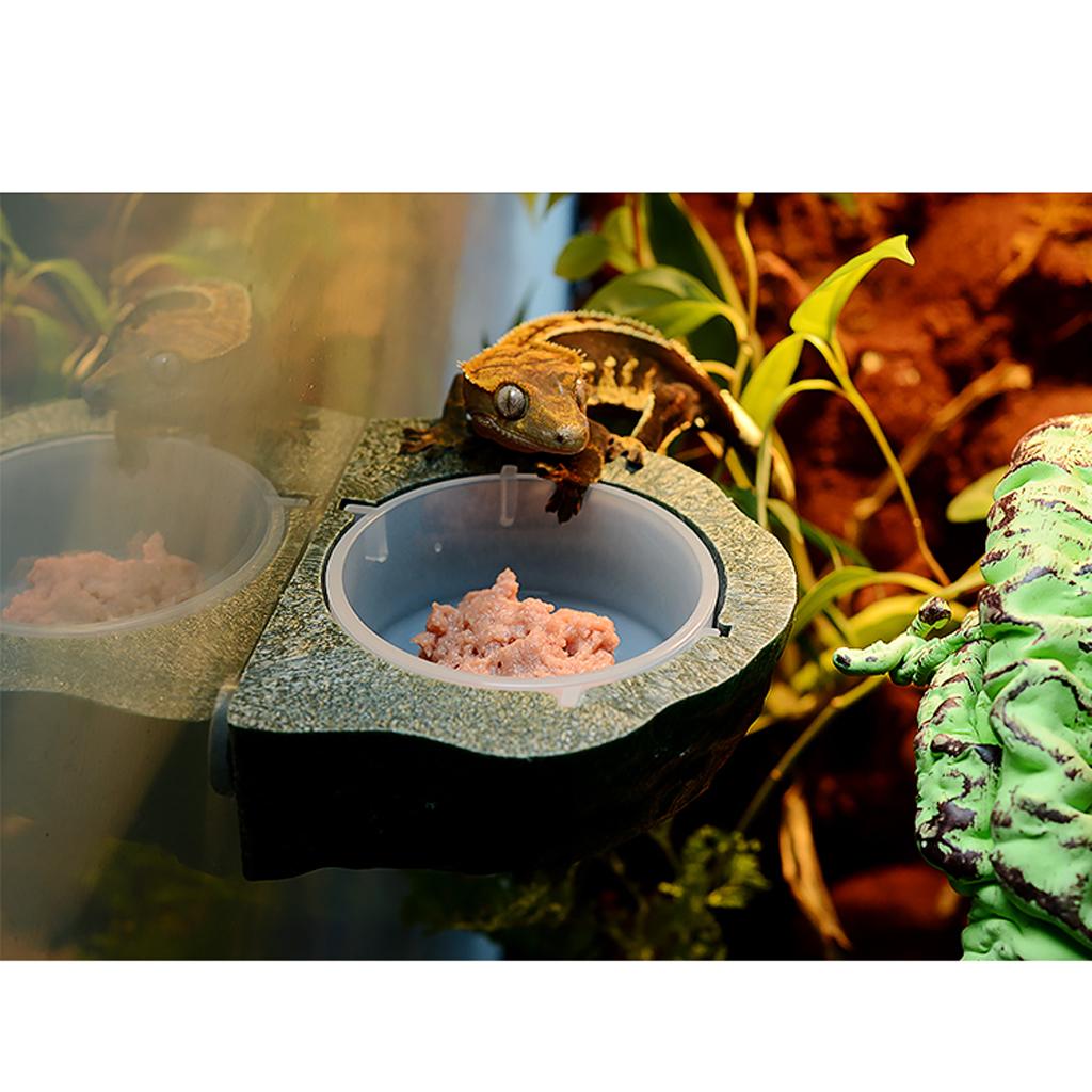 Mini Magnetic Gecko Feeder Ledge Reptile Terrarium Decor. Feeding Bowl Green