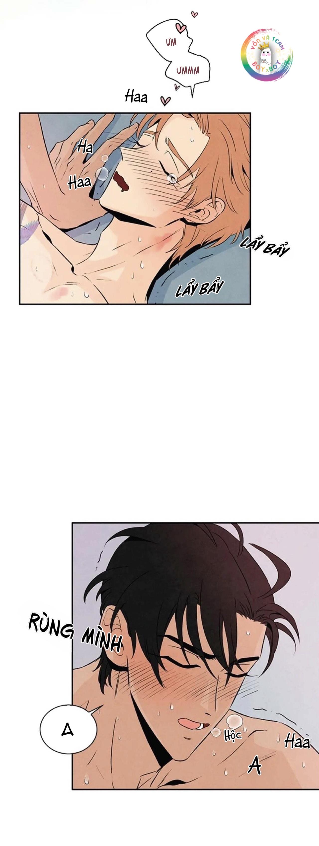 bona sort chapter 20 19