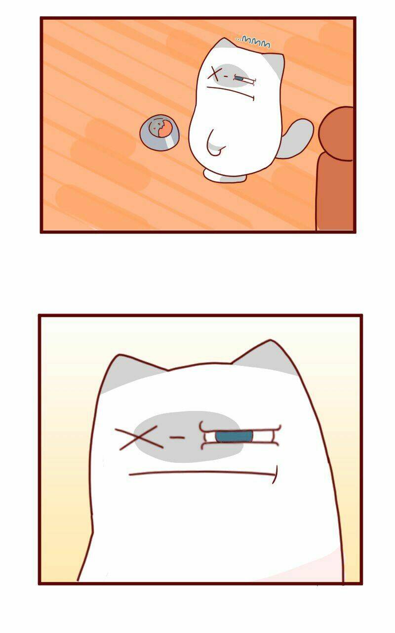 saphie: chú mèo một mắt chapter 8 9