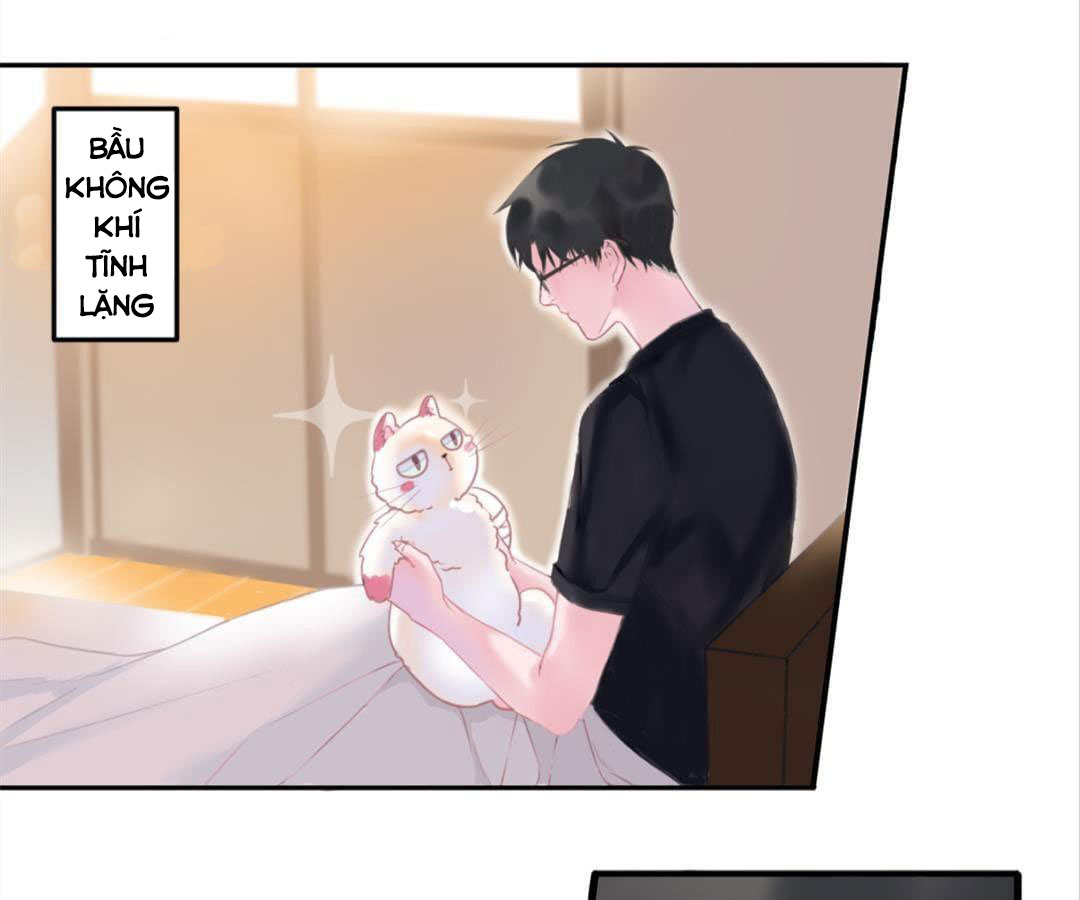 social cat chapter 1 51