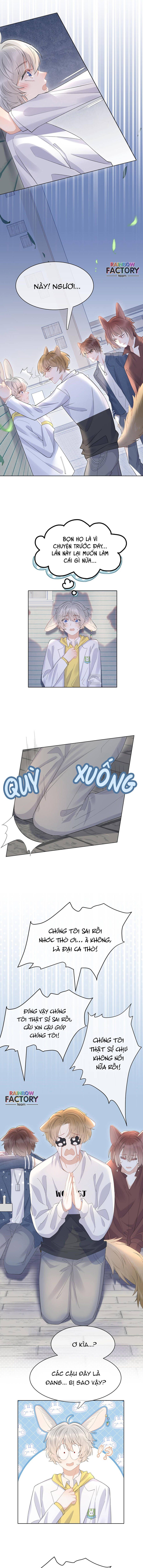 ăn một bé thỏ chapter 19 5