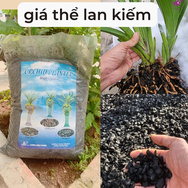 1kg Giá Thể Trồng Lan Kiếm - Vỏ Lạc Hun Đã Qua Xử Lý Sạch