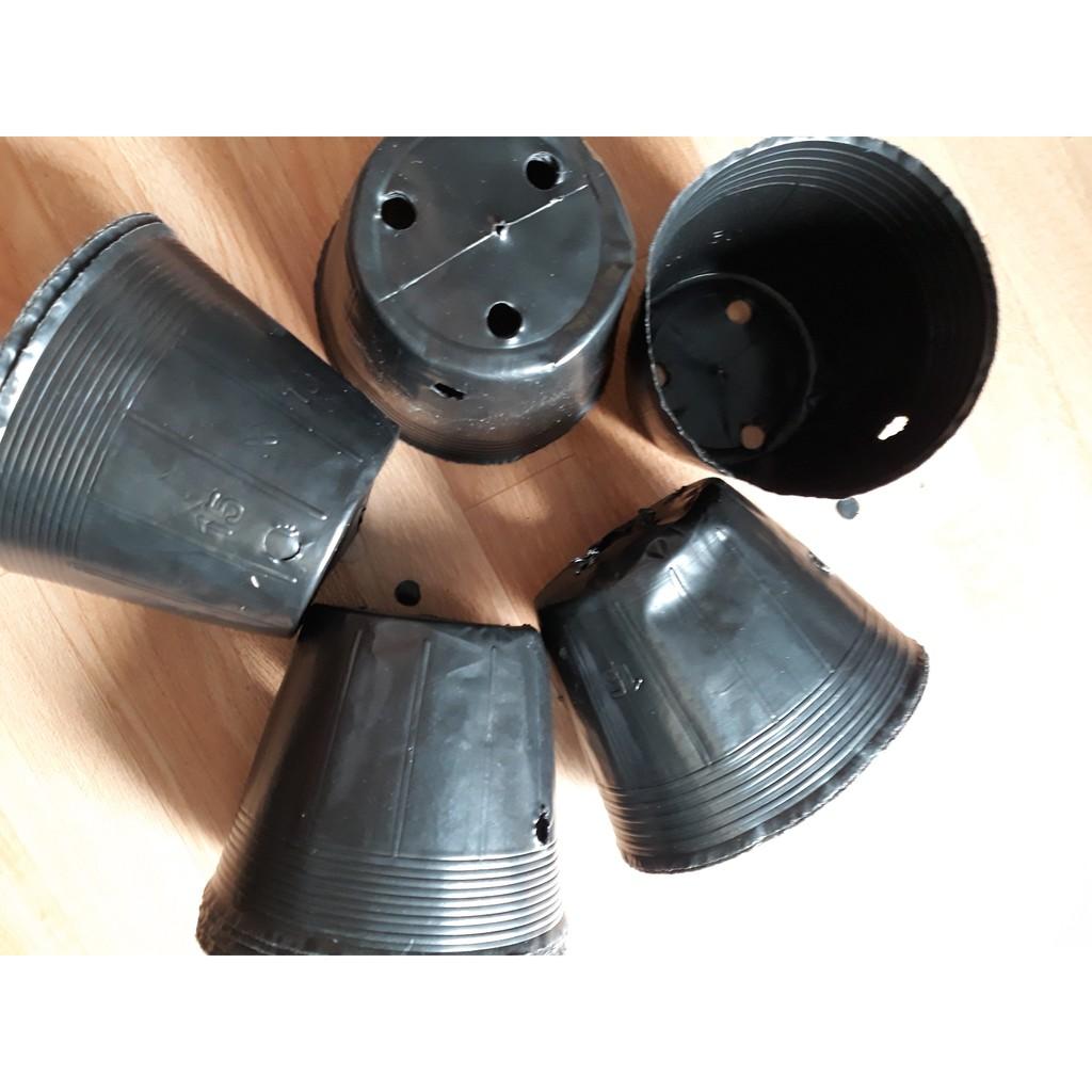 1kg bầu ươm 15x 13/ 270 cái