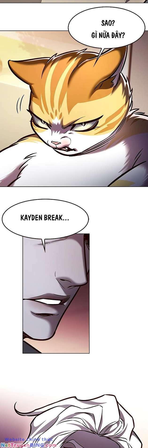 biến thân thành mèo chapter 278 63