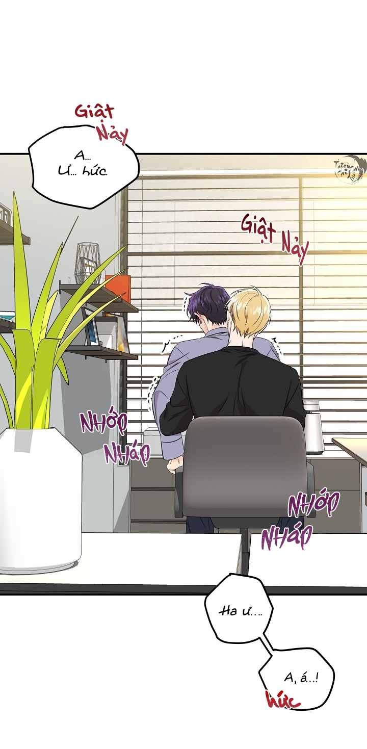 hoa ly hổ chapter 31 36