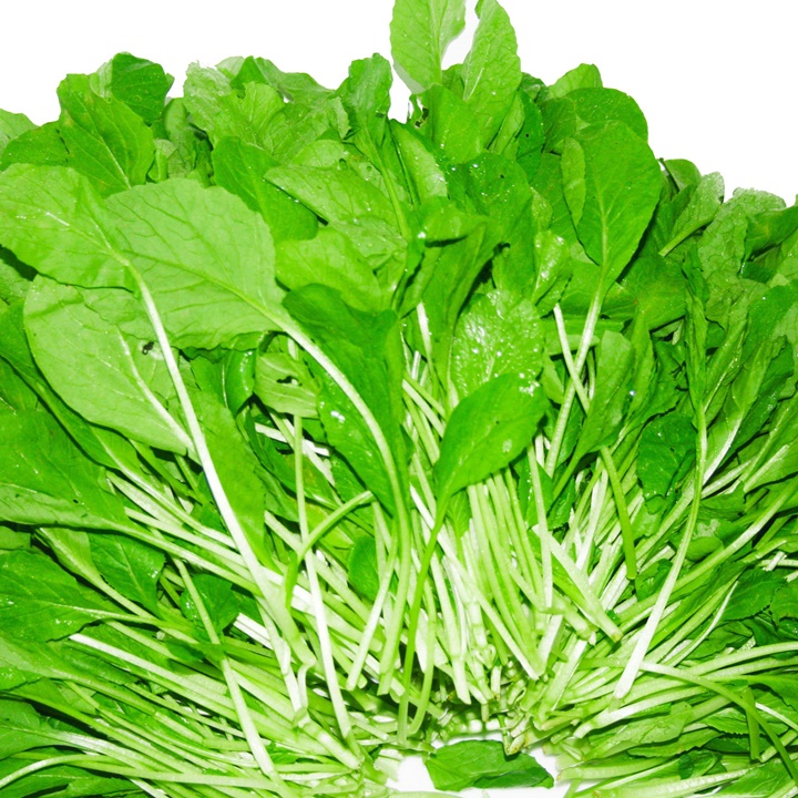 Hạt giống Cải trắng ăn non gói 30 gram