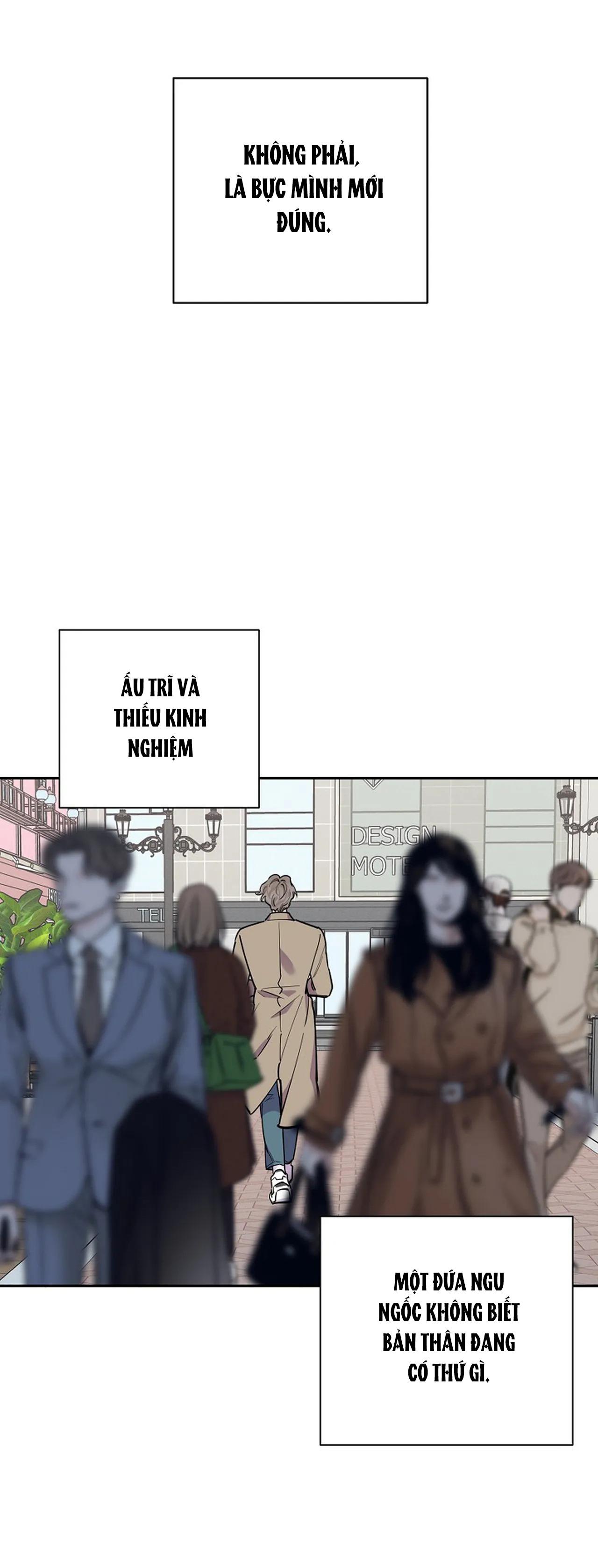 đêm dịu dàng chapter 23 10