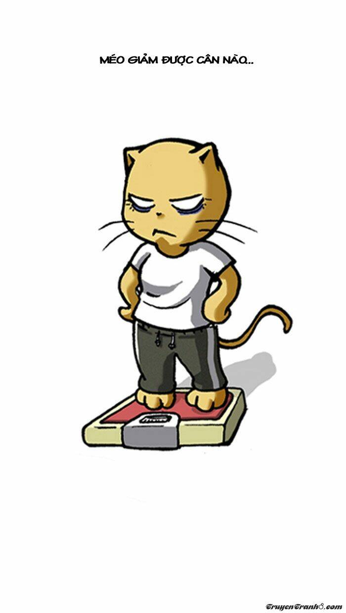 pigeonhole fantasia chapter 23 9