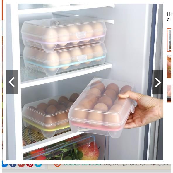 Hộp đựng trứng 1 tầng 24 ô việt nhật cao cấp
