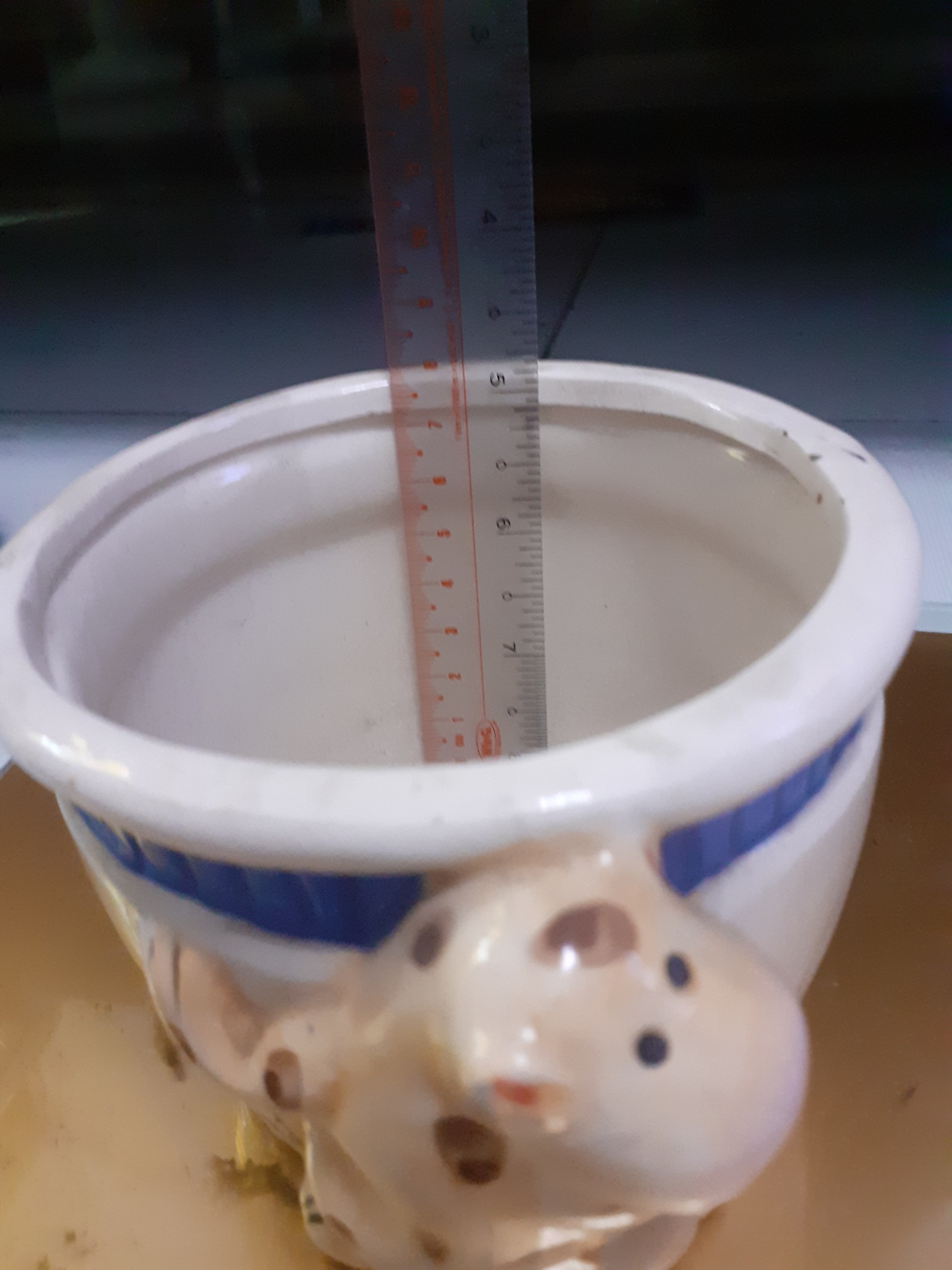 *** Chậu bé bò vàng trồng cây xinh xắn dễ thương ***