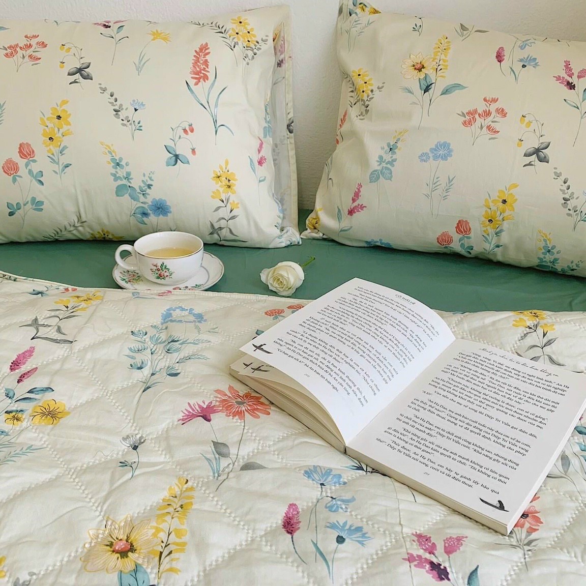 Bộ Ga Gối Vải Cotton Hàn Quốc 4 Món Nệm 20 CM