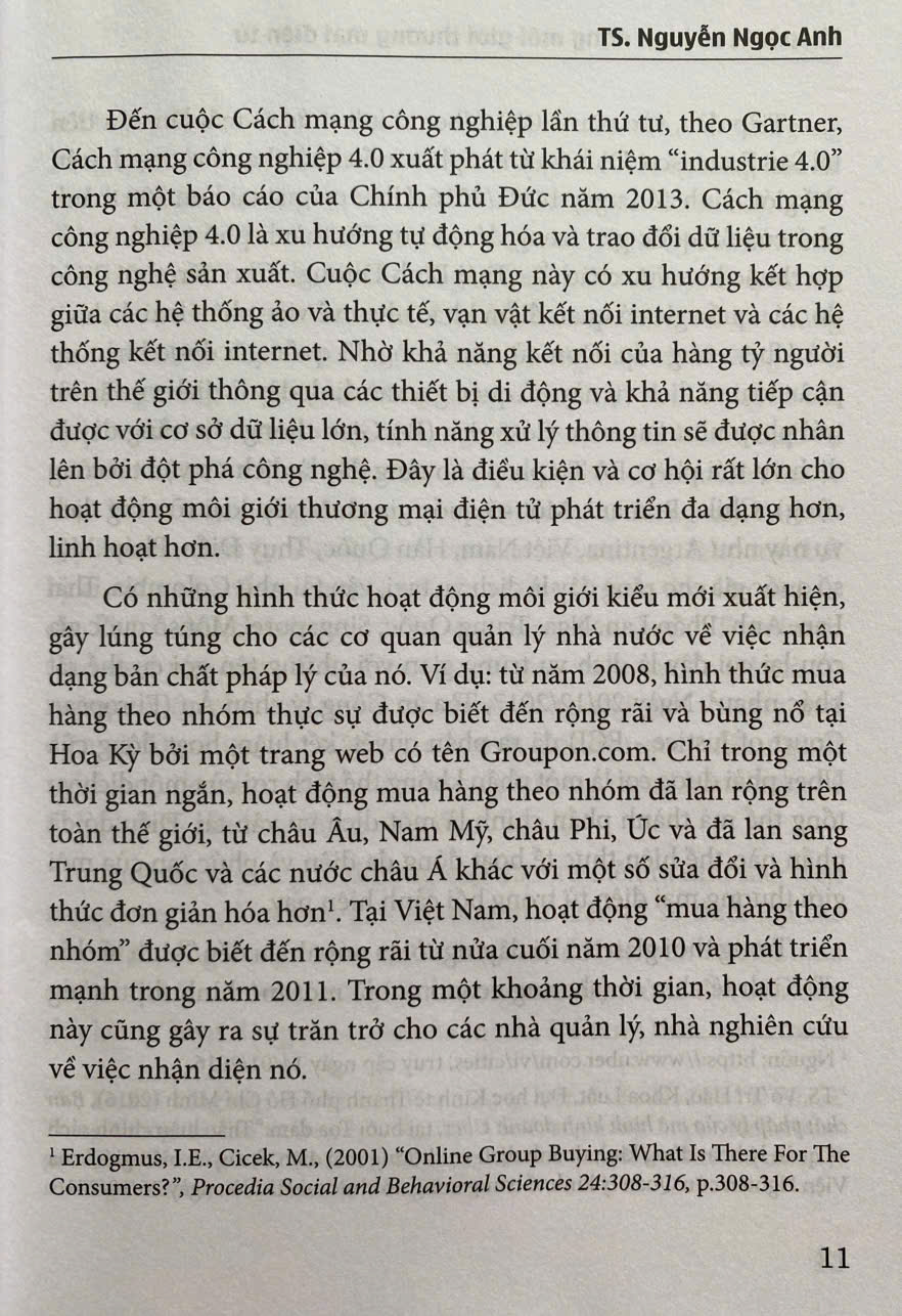 Pháp Luật Về Hoạt Động Môi Giới Thương Mại Điện Tử ( Tái bản lần thứ nhất)
