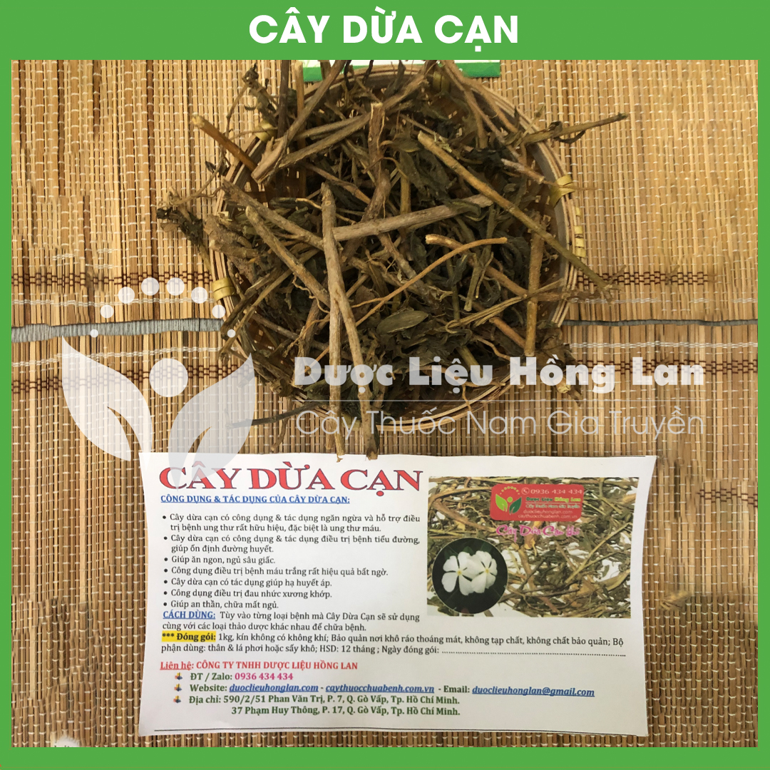 Cây Dừa Cạn khô sạch đóng gói 1kg