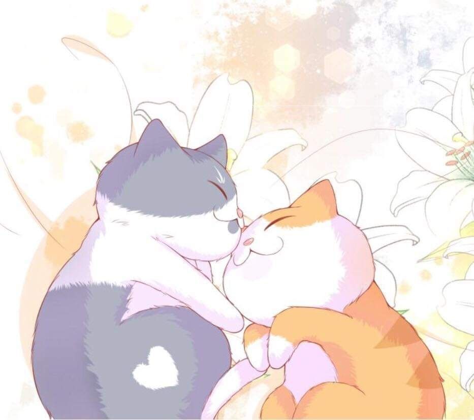 bên anh mới là cả thế giới chapter 3 75