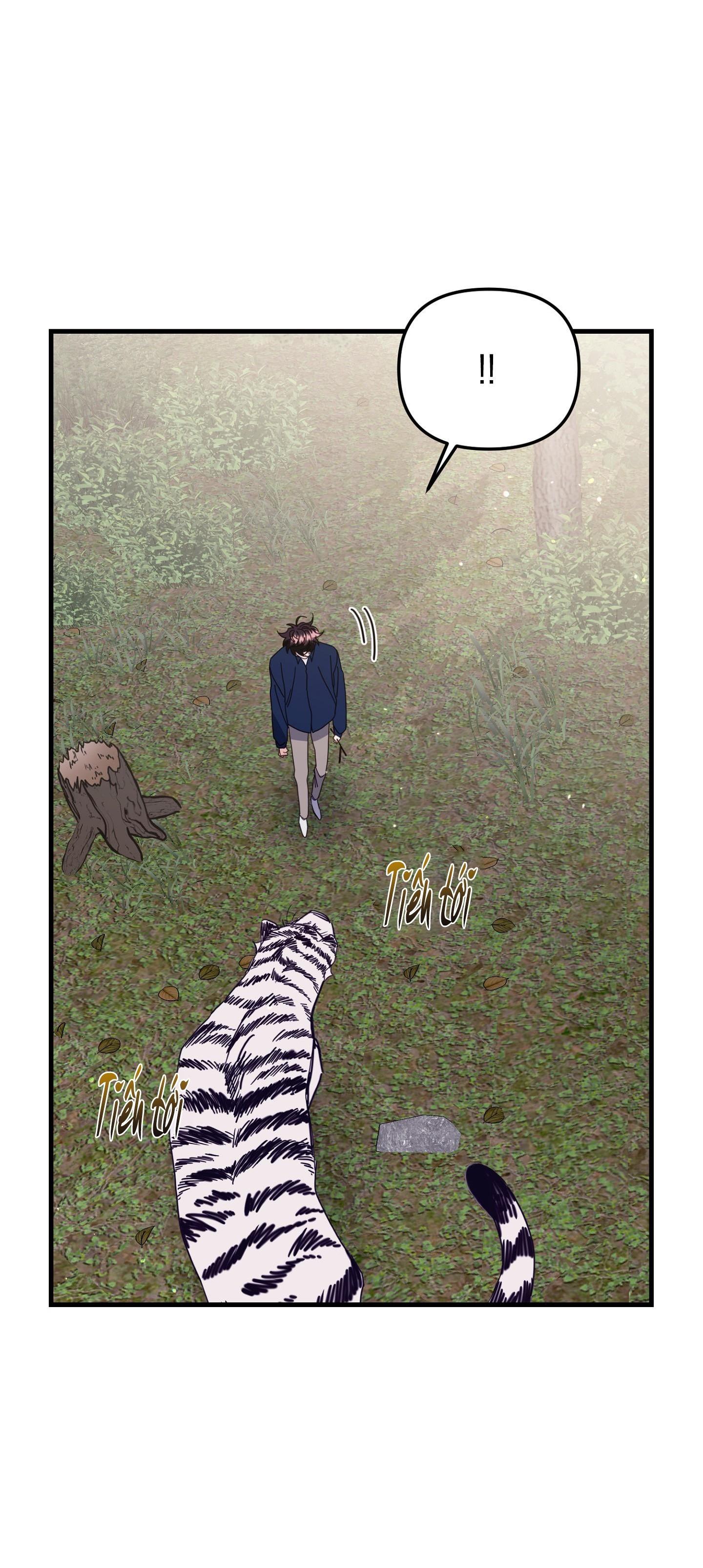 hổ trở về chapter 42 66