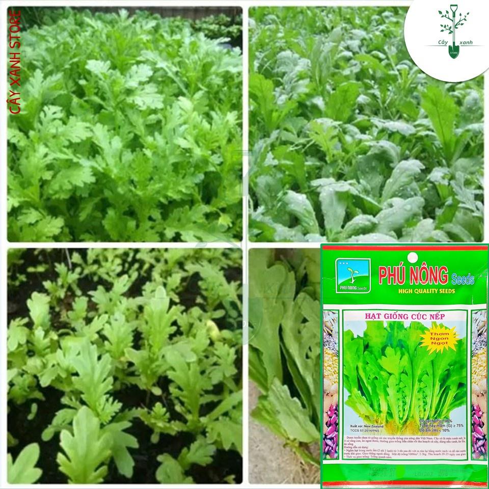 Hạt Giống Rau Cải Cúc Nếp, Tần Ô Lá Tròn 20Gr - Phú Nông Seeds