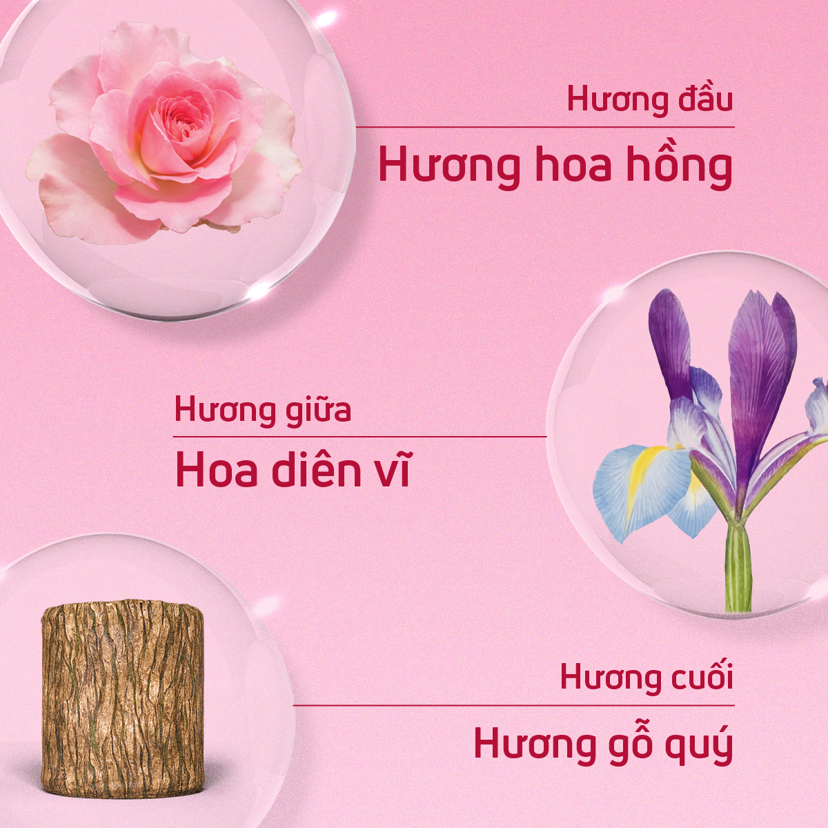 Nước hoa cho nữ,nước hoa thùy tiên cao cấp chính hãng adopt hương hoa hồng cuốn hút My Rose dung tích 30ml