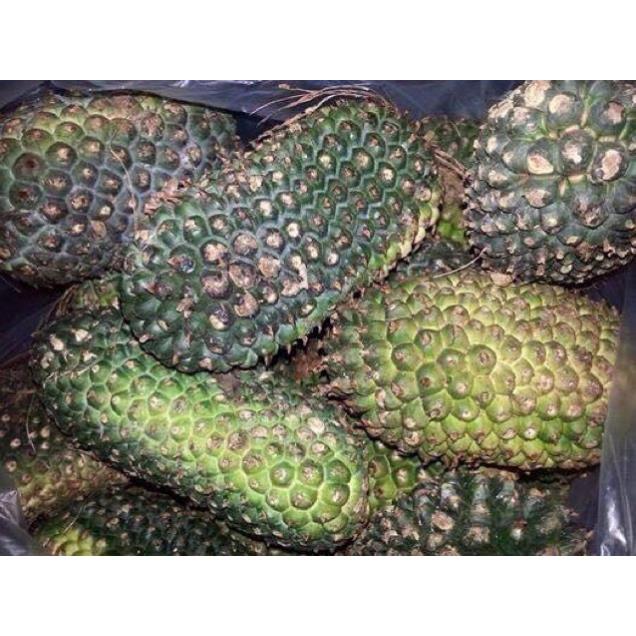 1kg Quả Dứa Rừng Khô, Dứa Dại-Trị Sỏi Thận