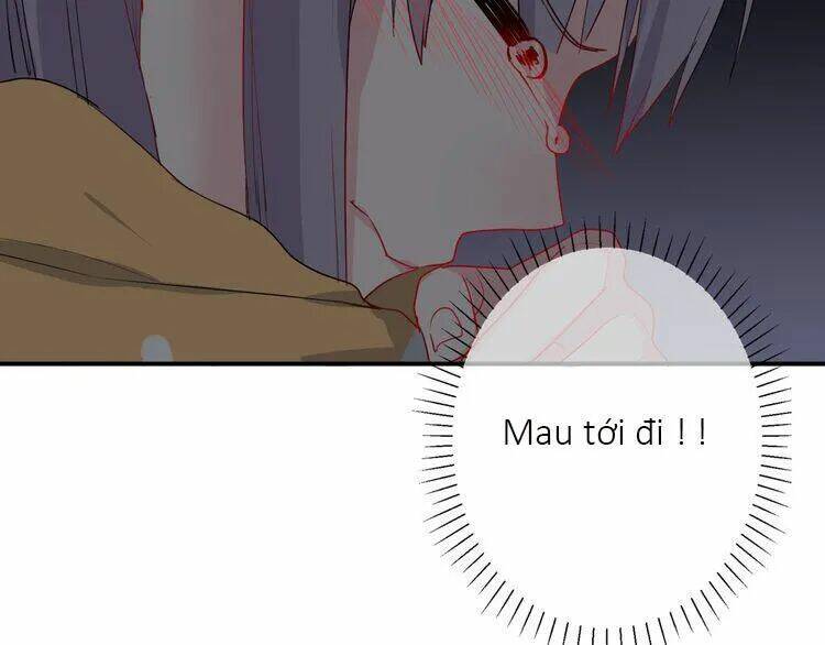 quy tắc của mỹ nam chapter 40 57