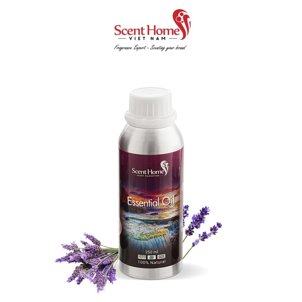 Tinh dầu Scent Homes - mùi hương