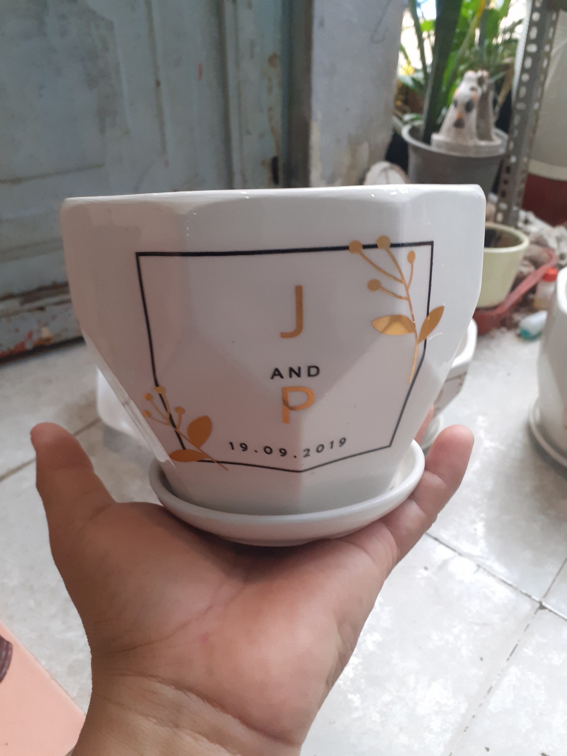 BỘ 3 Chậu kèm dĩa BÁT GIÁC J&P . 1 CHẬU SIZE TRUNG .