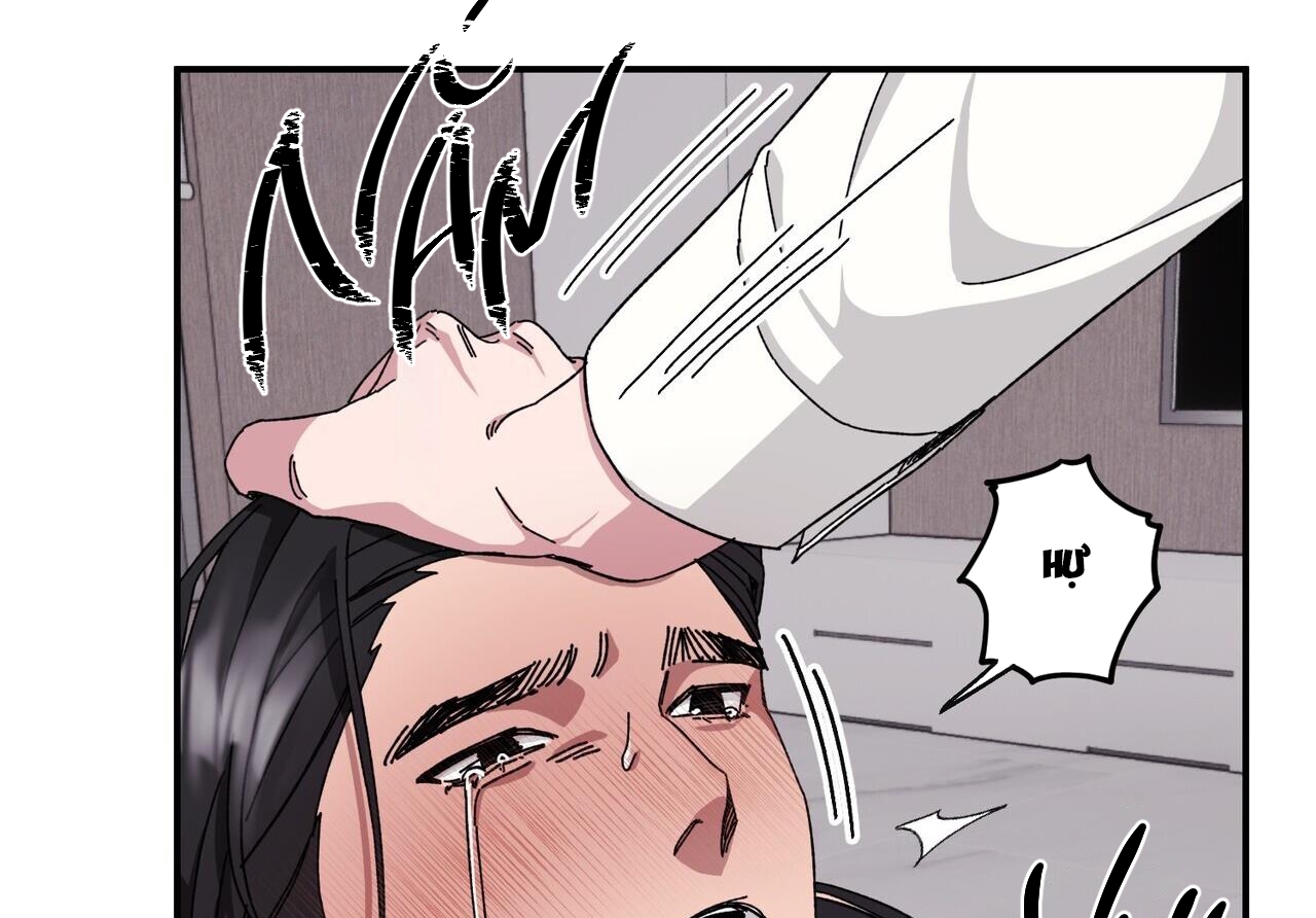 chàng dâu nhà họ kang chapter 34 88