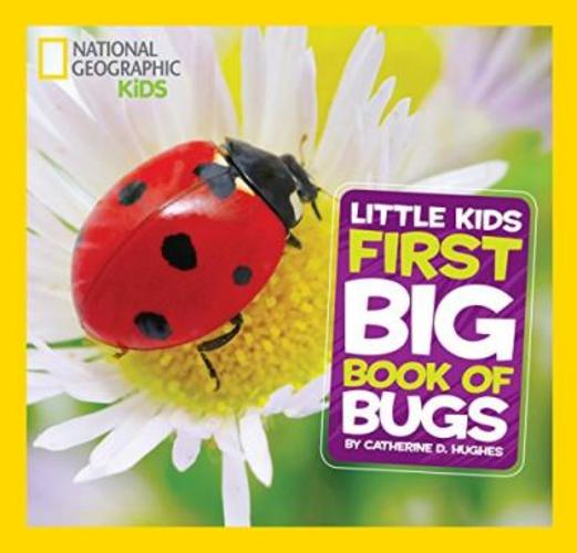 Sách - Little Kids First Big Book of Bugs by Catherine D. Hughes (US edition, hardcover)