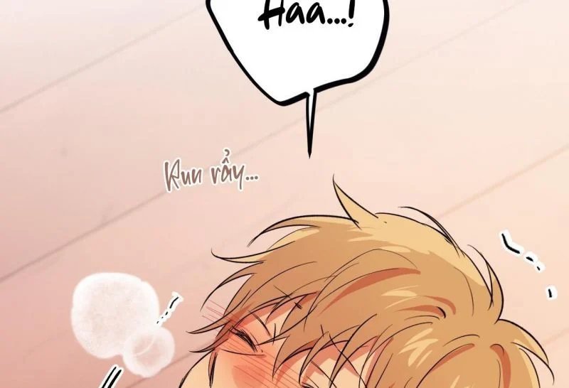 những chú thỏ của hapypy chapter 64 14