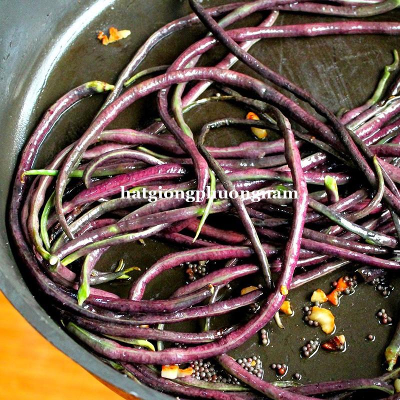 5GR - HẠT GIỐNG ĐẬU ĐŨA TÍM