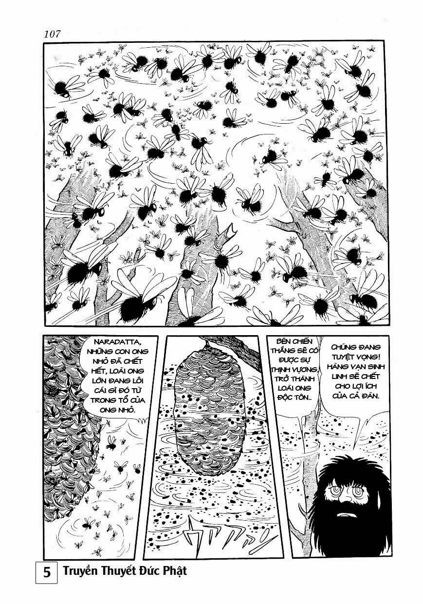 buddha - truyền thuyết đức phật chapter 24 61