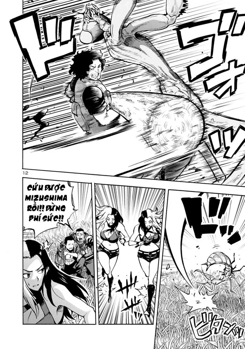 Siêu Đảo Côn Trùng chapter 11.1 12