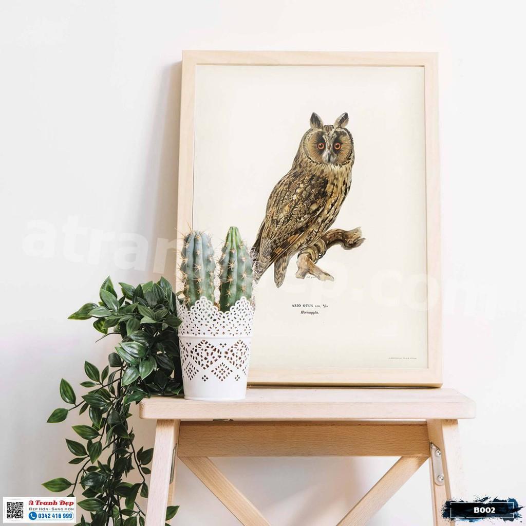 Tranh Canvas minh họa loài chim cú lửa phong cách cổ điển - B002