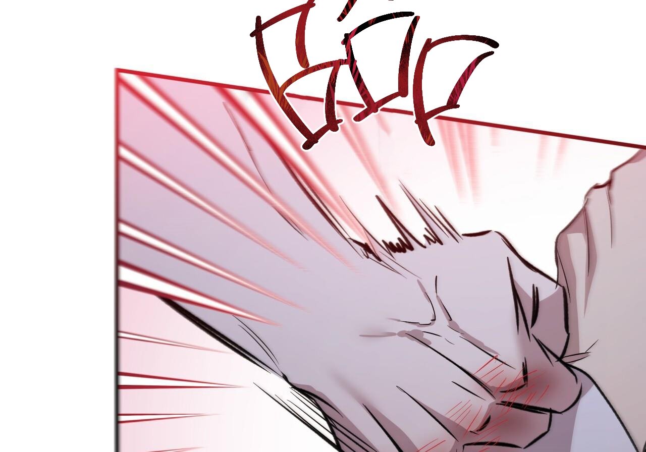 những chú thỏ của hapypy chapter 60 7