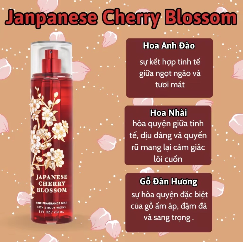 Body Mist Japanese Cherry Blossom 236ml - Bath and Body Work Japanese Cherry Blossom Chính Hãng