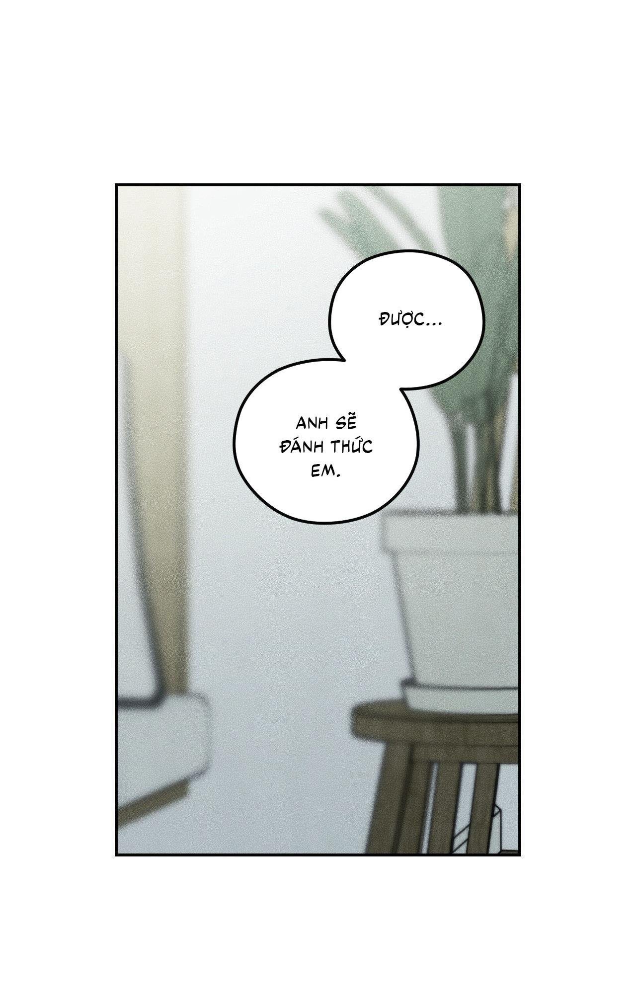 gấu teddy thân yêu chapter 31 72