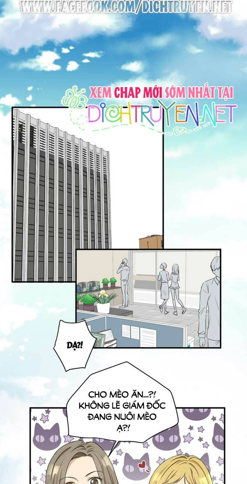 cuộc sống kỳ thú chapter 3 15