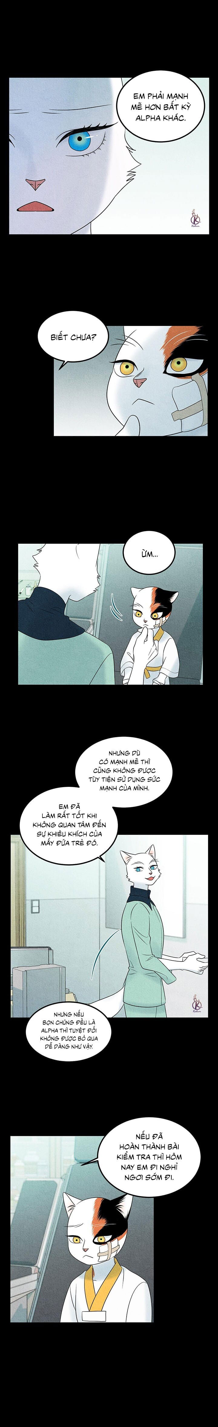 dự án xanh chapter 37 13